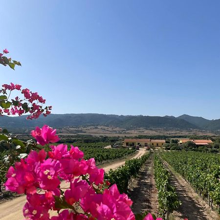 Agriturismo Campesi Casale Tra Le Vigne Альенту Экстерьер фото
