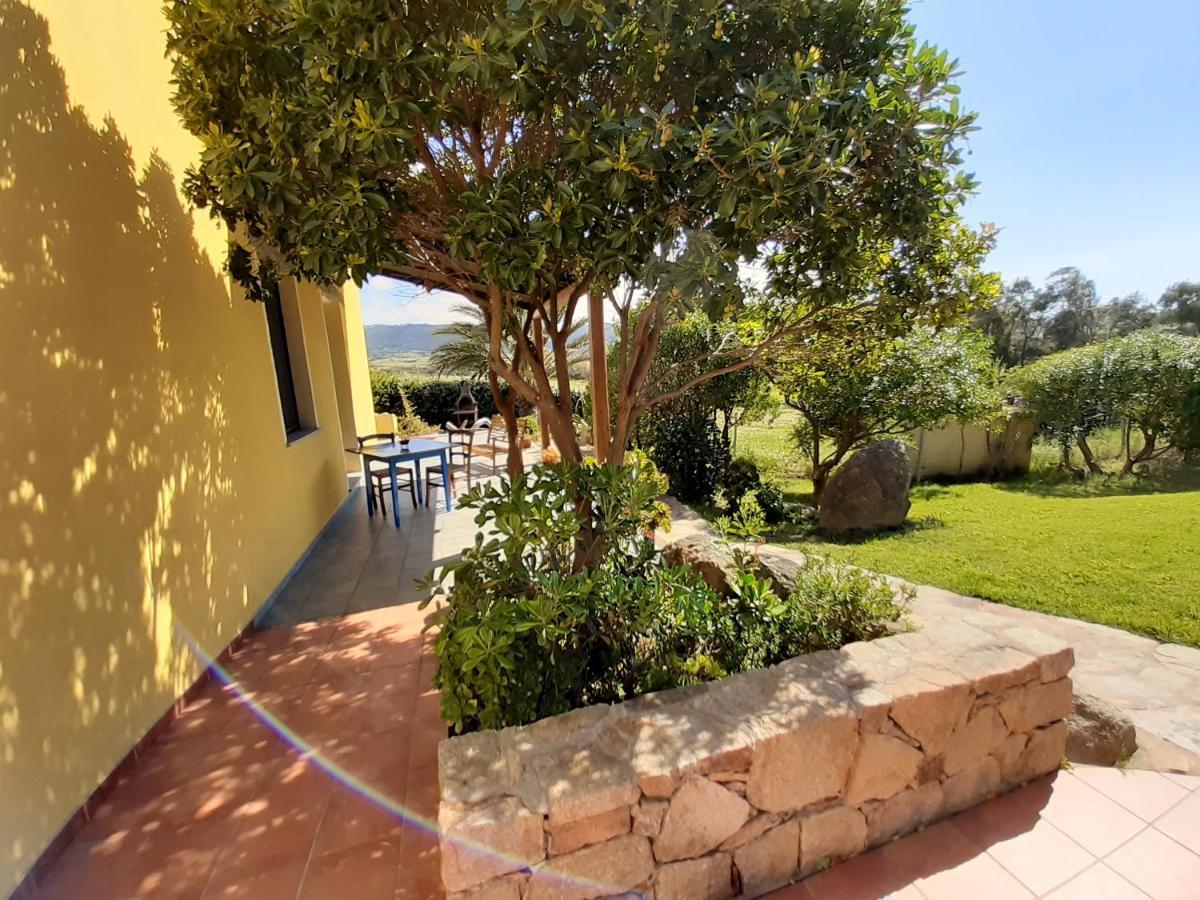 Agriturismo Campesi Casale Tra Le Vigne Альенту Экстерьер фото