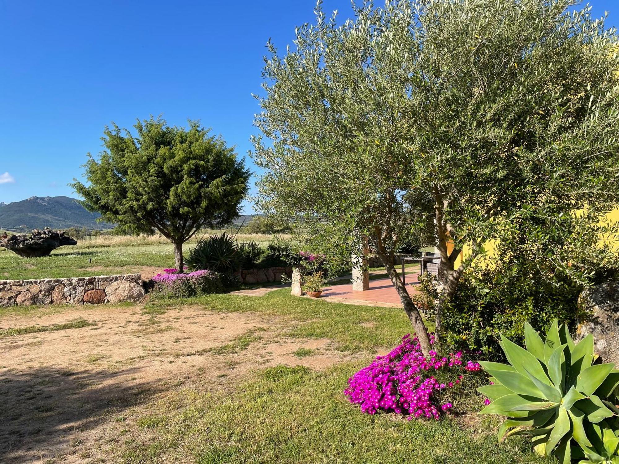 Agriturismo Campesi Casale Tra Le Vigne Альенту Экстерьер фото