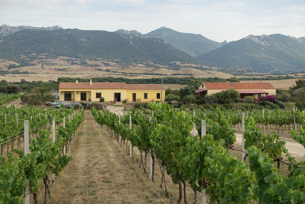 Agriturismo Campesi Casale Tra Le Vigne Альенту Экстерьер фото
