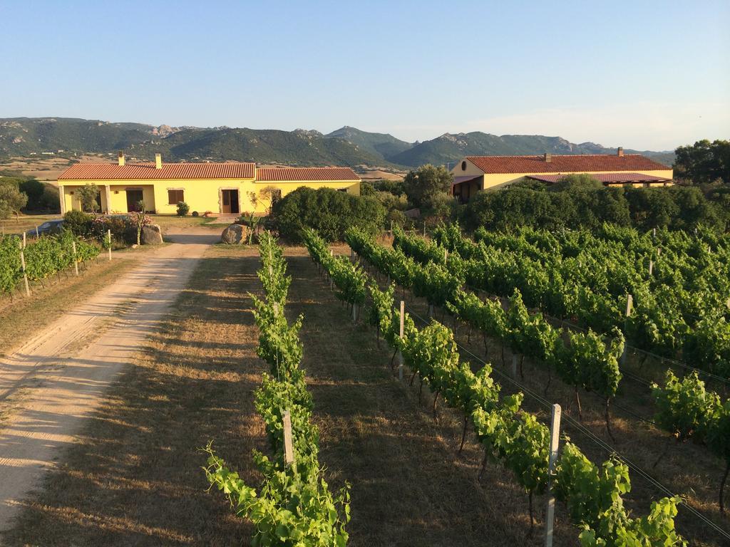 Agriturismo Campesi Casale Tra Le Vigne Альенту Экстерьер фото