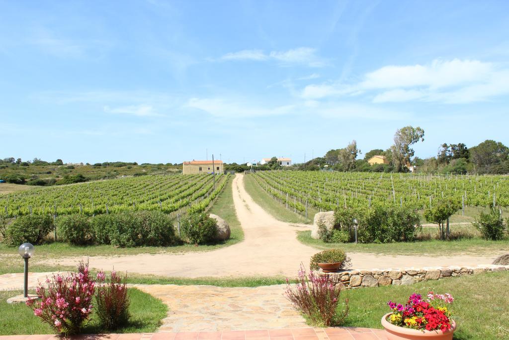 Agriturismo Campesi Casale Tra Le Vigne Альенту Экстерьер фото