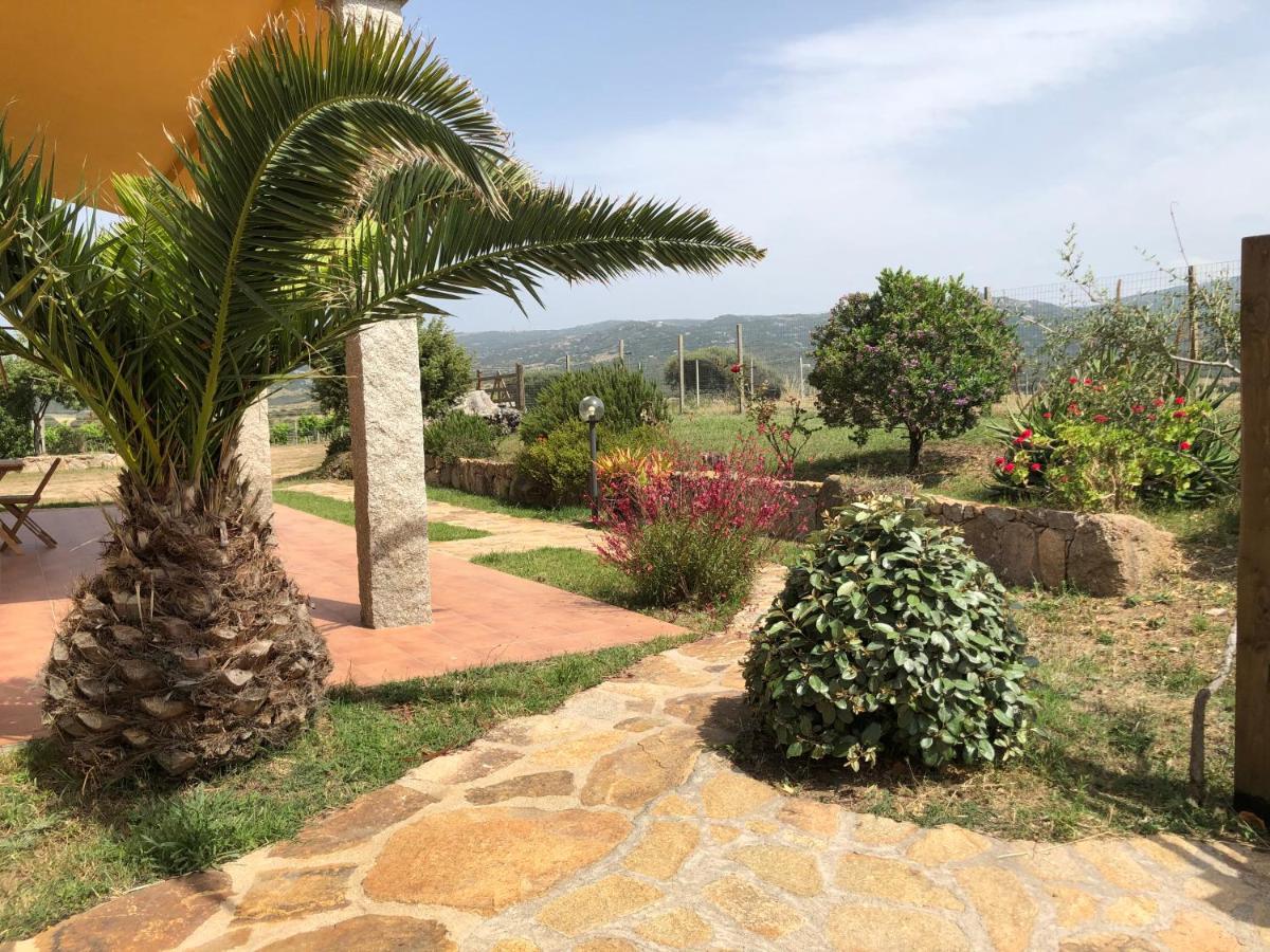 Agriturismo Campesi Casale Tra Le Vigne Альенту Экстерьер фото