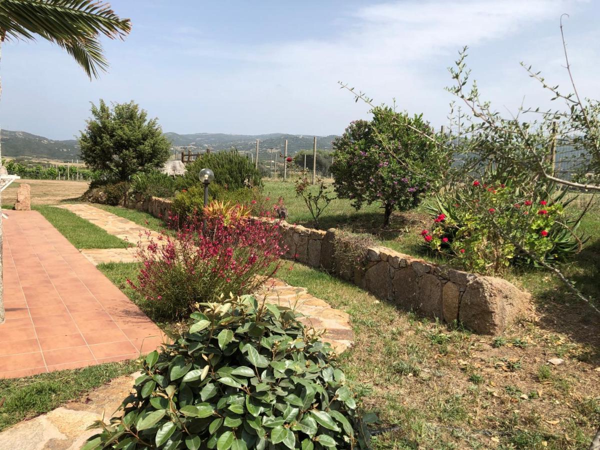 Agriturismo Campesi Casale Tra Le Vigne Альенту Экстерьер фото